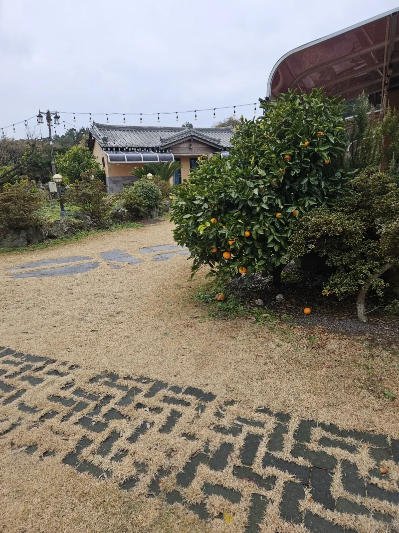 [Aewol, Jeju] Accommodation with cypress trees and healing #Pets allowed 16
