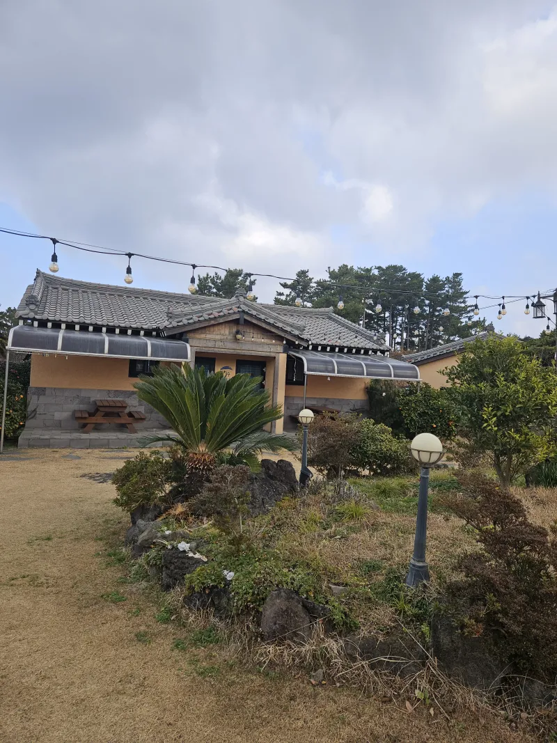 [제주 애월] 편백나무와 힐링이 함께하는 숙소 #애견동반가능2 별채 33