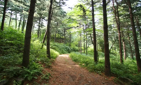 [Gapyeong][Gapyeong-gun, Gyeonggi-do] A healing experience spot nestled between the Seorak River and the lake in Gapyeong-Seorak. 10
