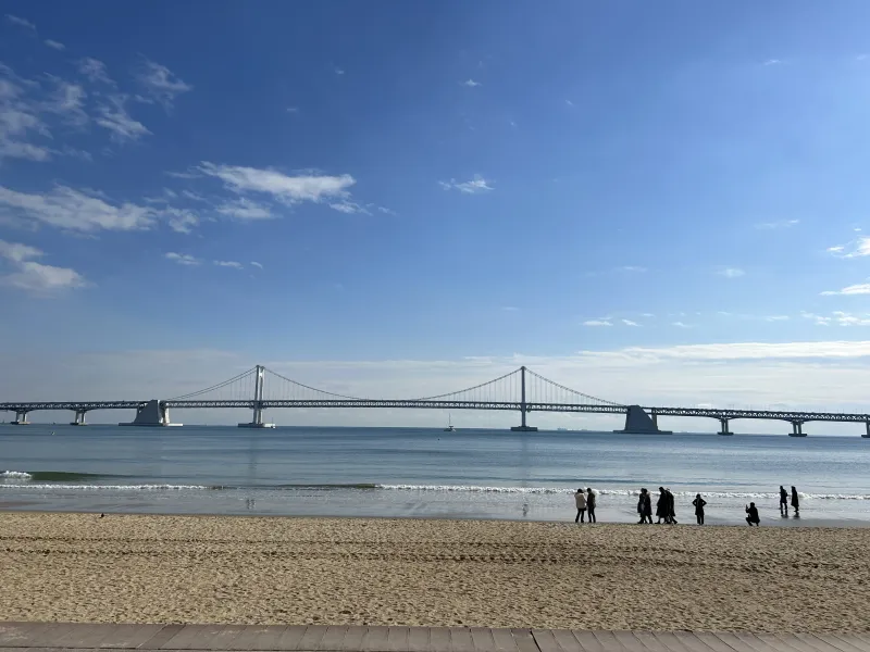 [부산 수영] 광안리 풀오션뷰 25