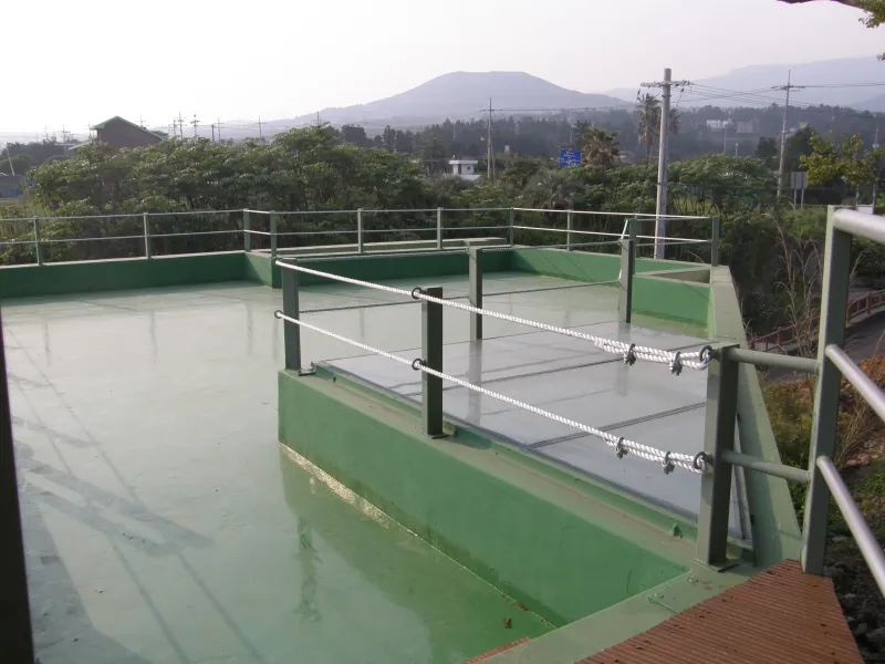 [Hogeun-dong, Seogwipo] Healthy Minbak Hallasan 11