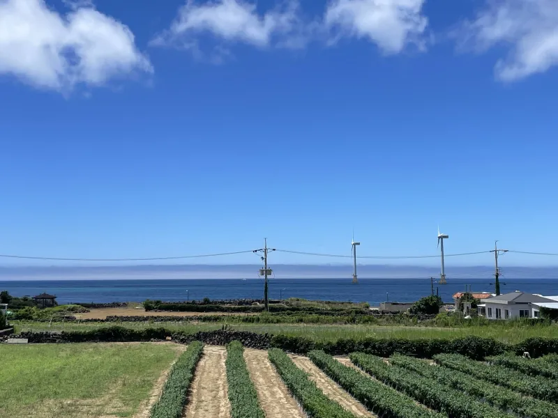 [제주 한경] 한경 / 오션뷰 투룸 독채 단독주택 22