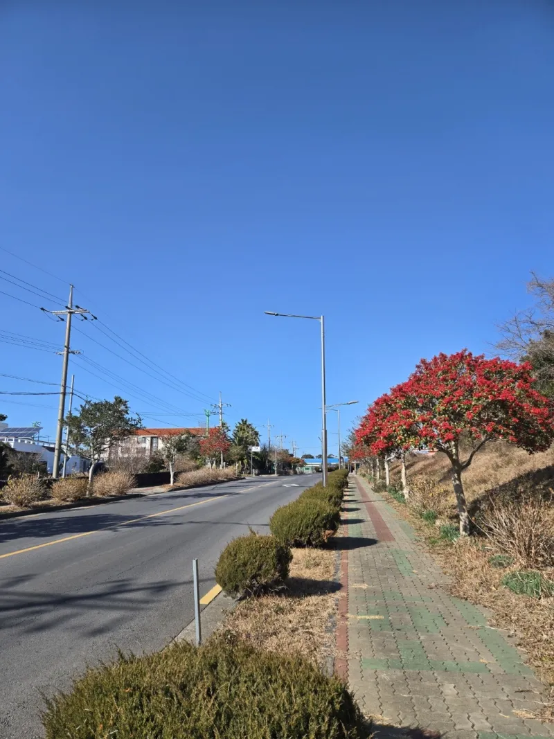[서귀포 안덕] 마당에서 한라산이 보이고 산방산인근 자쿠지 독채펜션 72