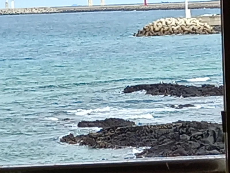 [Hallim, Jeju] Biyangdo/Ocean view Hyeopjae Beach Stay #202 #Pets allowed 14