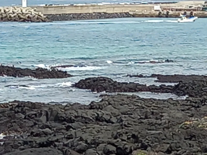 [Hallim, Jeju] Biyangdo/Ocean view Hyeopjae Beach Stay #302 #Pets allowed 10