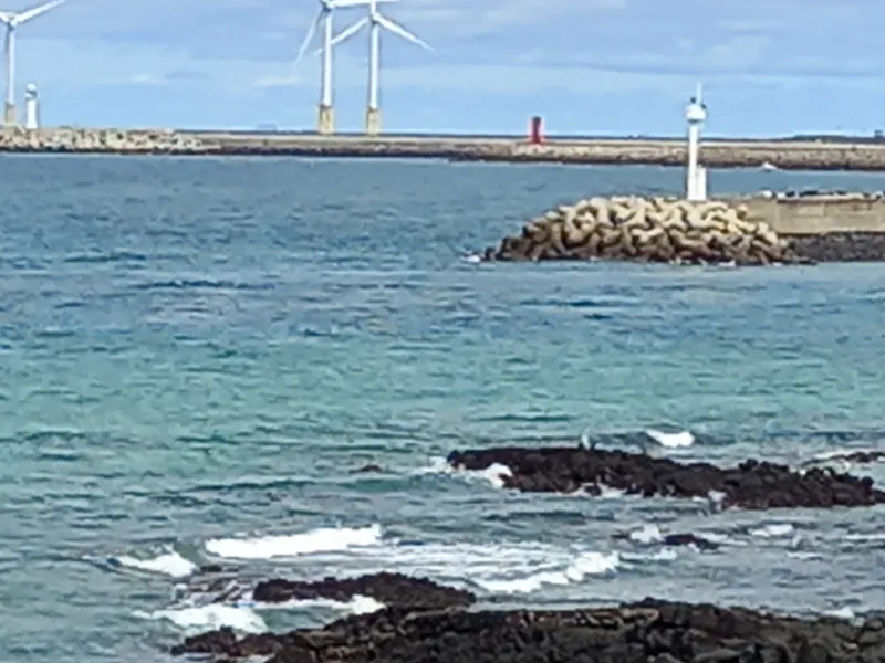 [Hallim, Jeju] Biyangdo/Ocean view Hyeopjae Beach Stay #302 #Pets allowed 11