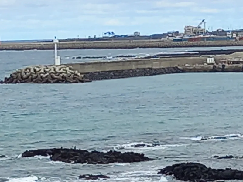[Hallim, Jeju] Biyangdo/Ocean view Hyeopjae Beach Stay #203 #Pets allowed 12