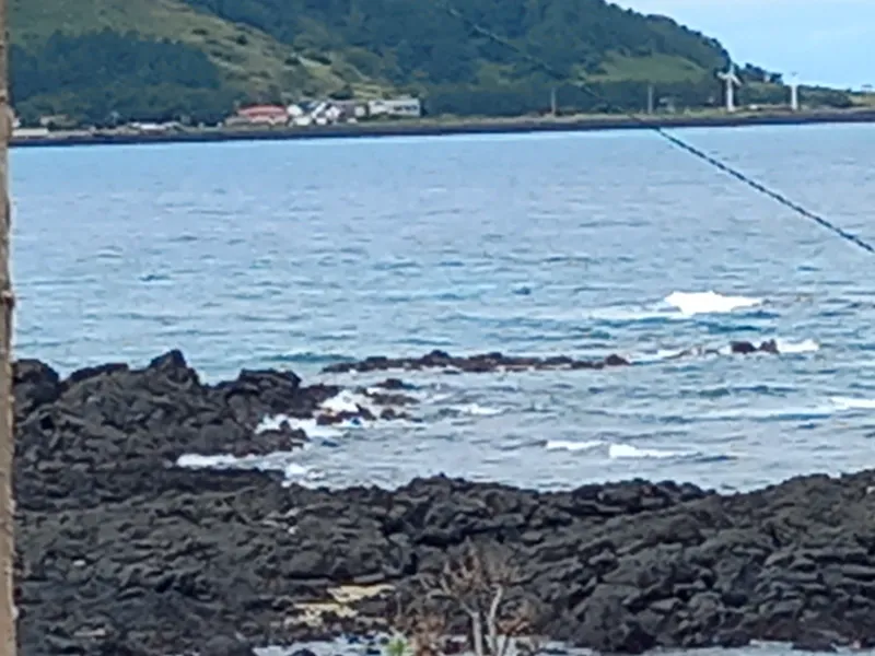 [Hallim, Jeju] Biyangdo/Ocean view Hyeopjae Beach Stay #302 #Pets allowed 12
