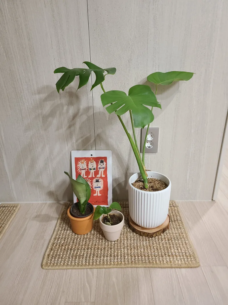 [Mapo, Seoul] Best location, 3-minute walk from Aeoge Station/Ahyeon Station/Gongdeok, full-service apartment/newly built in Banryeo-dong 21