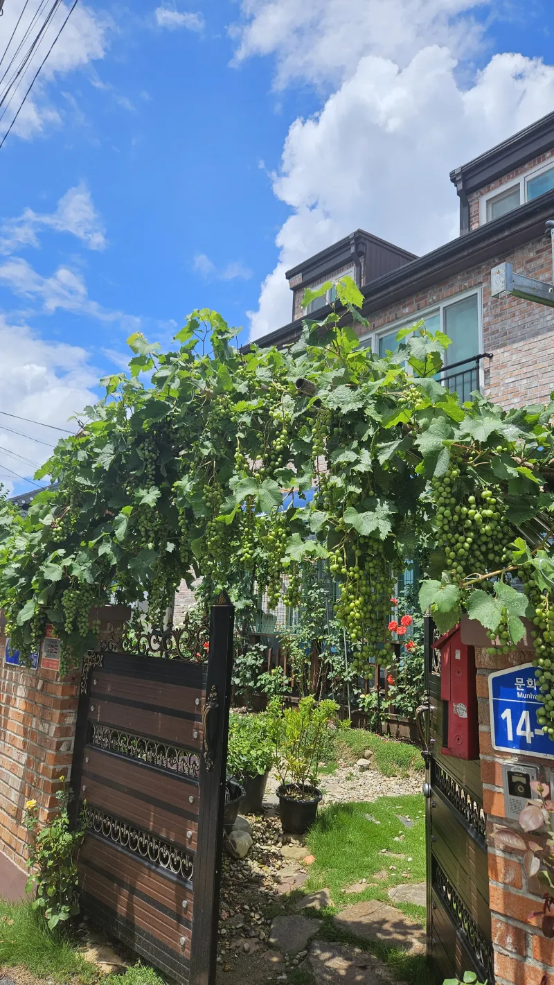 [전북 전주] 가성비있는 한옥마을 분리형원룸(건조기) 21