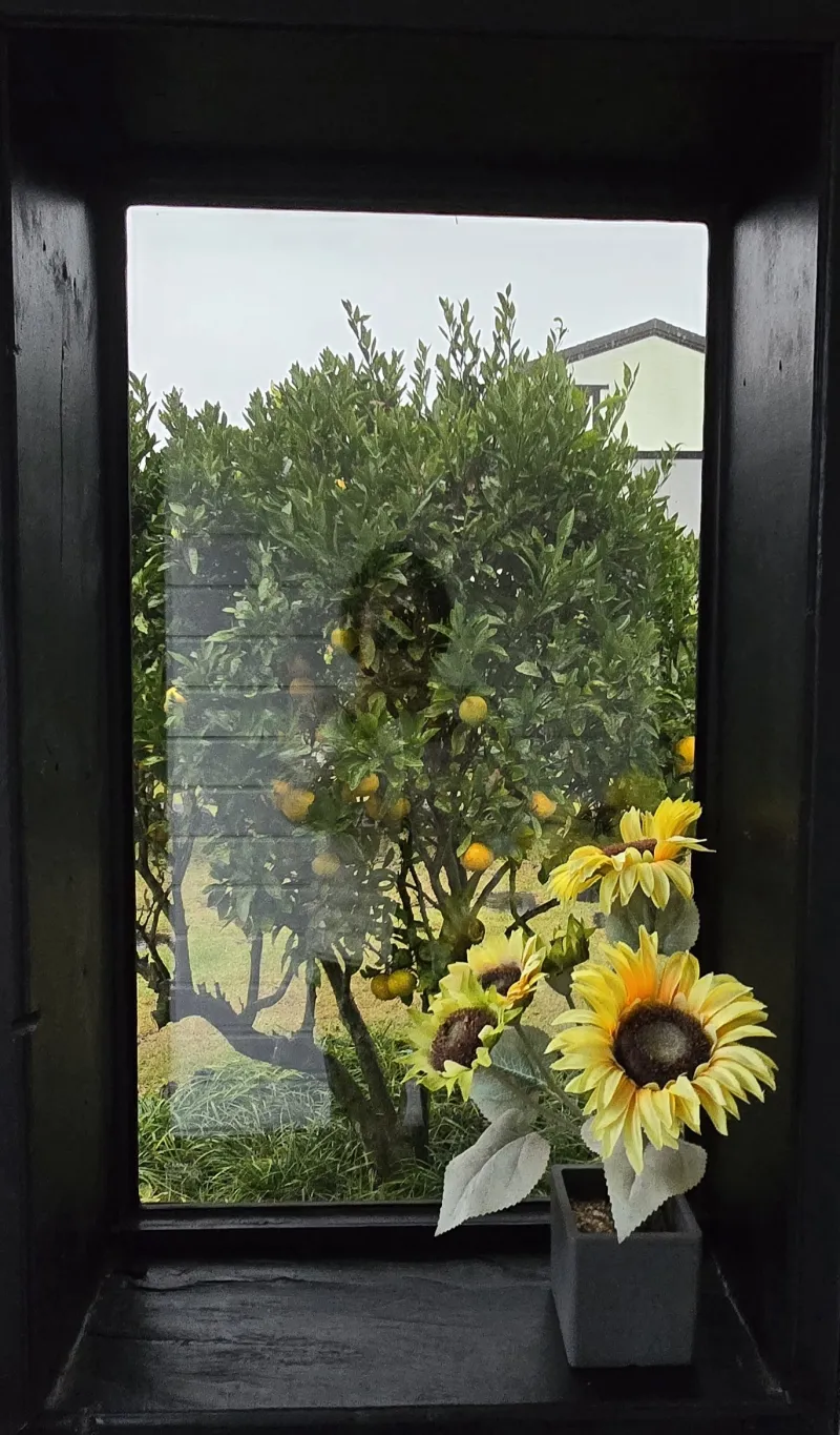 [Gujwa, Jeju] Private duplex with a spacious yard, Hot Place Songdang 21