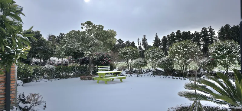 [Gujwa, Jeju] Private duplex with a spacious yard, Hot Place Songdang 18