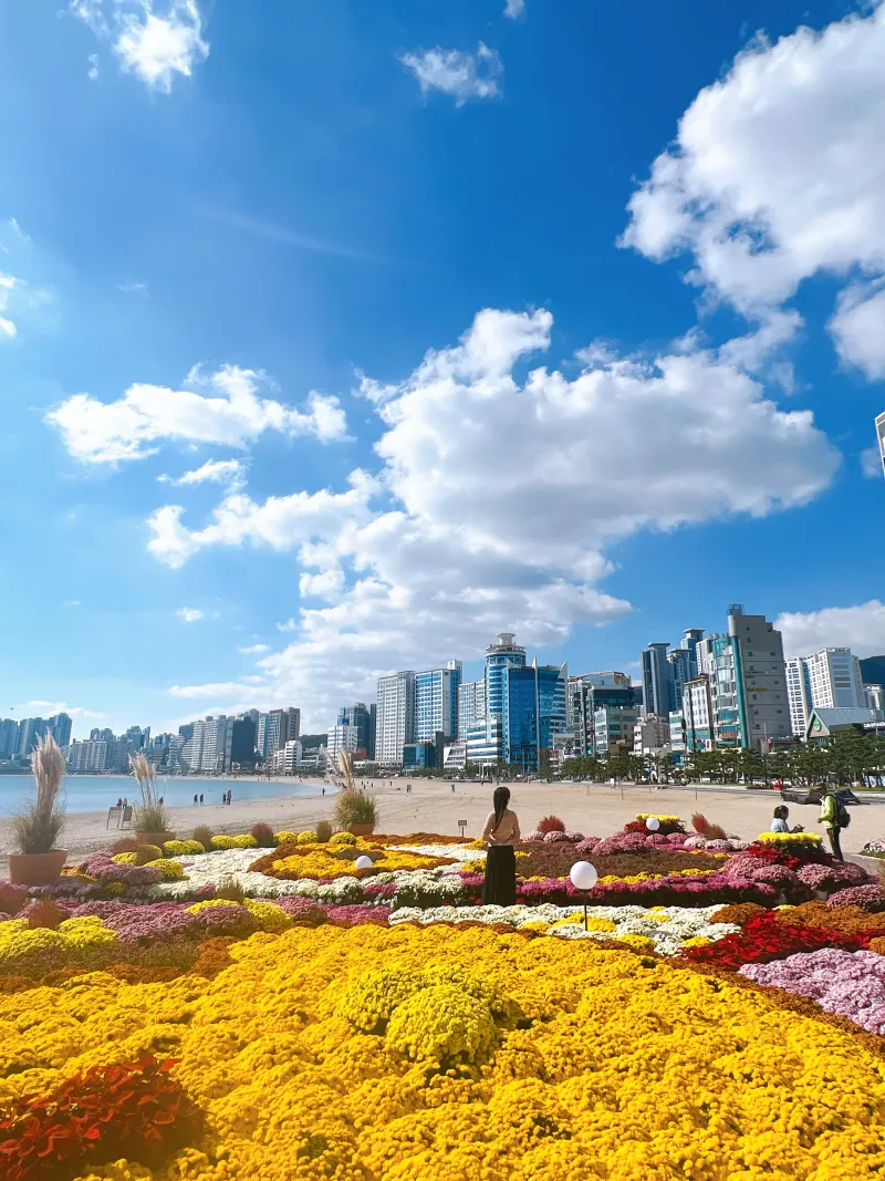 [Suyeong, Busan] #17thFloor #SunsetHotspot #UltimateNaturalLighting #FullyFurnished #AestheticAccommodation 82