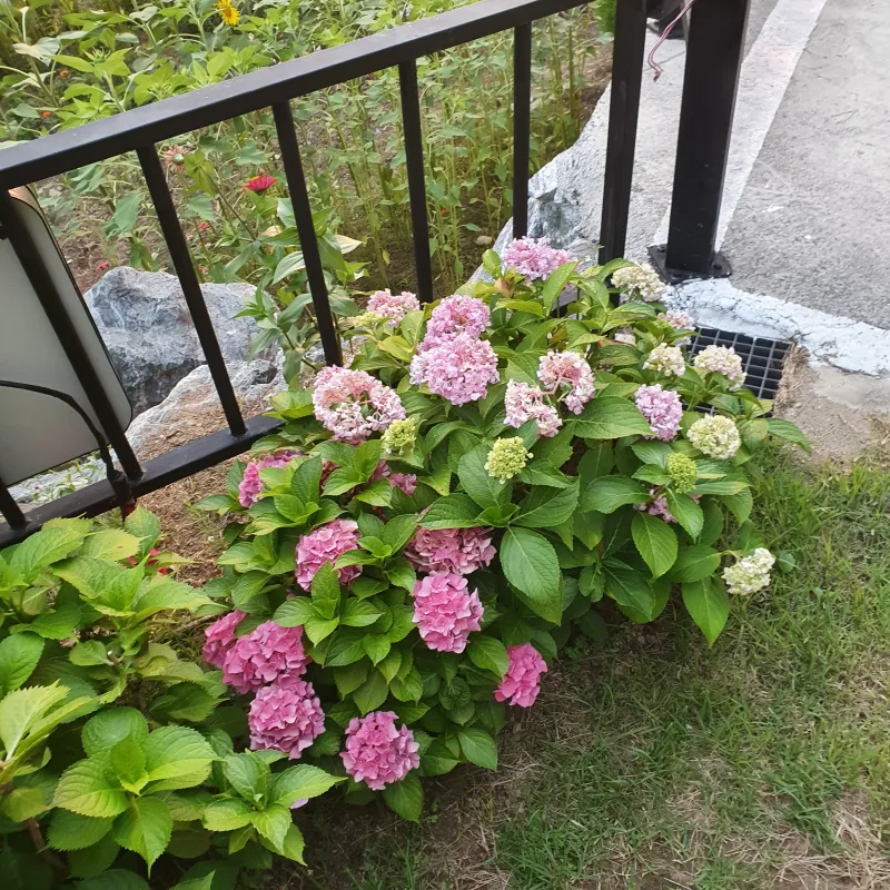 [경남 남해] 복층에서 보이는 바다,노을,잔디마당이 이쁜 독채(밤하늘) 28
