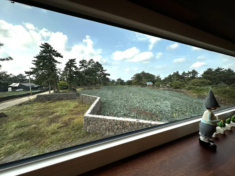 [Hallim, Jeju] Modern and Atmospheric Private House 39