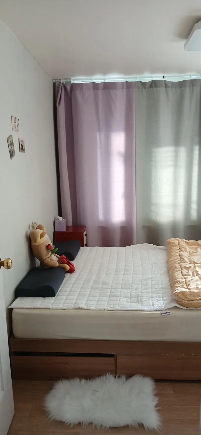 [대전 유성] 성심당 차로 10분 숲힐링 영화촬영지 5