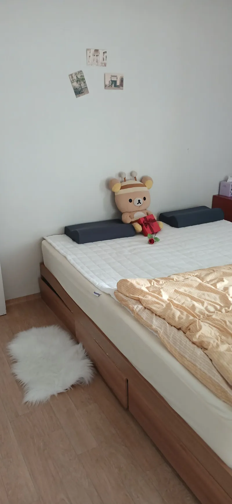 [대전 유성] 성심당 차로 10분 숲힐링 영화촬영지 2