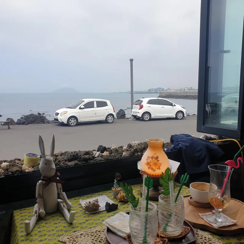 [제주 한경] 마당있는 오픈형원룸 독채 (사랑채103호)반려동물가능 44