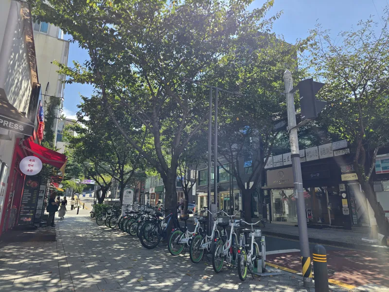 [Seongbuk, Seoul] Sungshin Women's University #Daehak-ro #DDP #Myeongdong #Gwanghwamun #Insa-dong #Seoul Station #Bukhansan 27