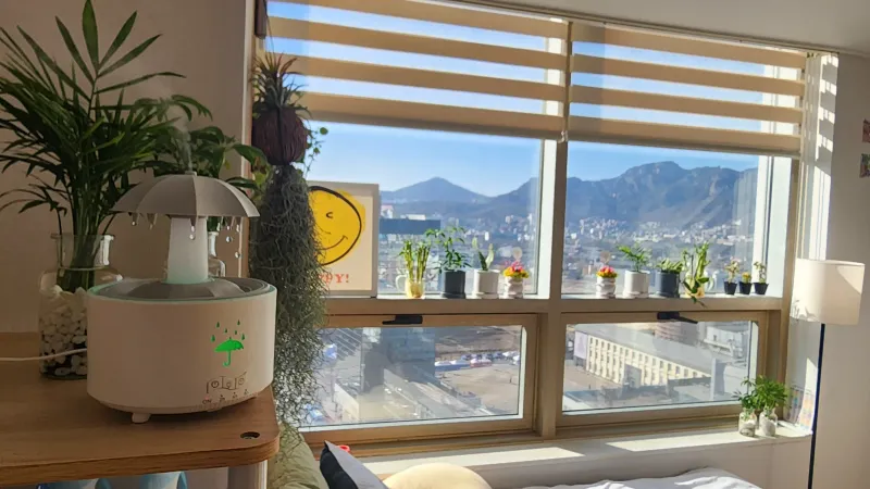 [Jongno, Seoul] Gyeongbokgung Palace/Changdeokgung Palace/Bukchon Hanok Village/Jongno/Top-floor City View Officetel 10