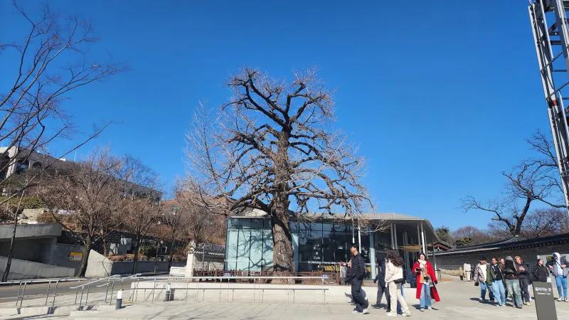 [Jongno, Seoul] Gyeongbokgung Palace/Changdeokgung Palace/Bukchon Hanok Village/Jongno/Top-floor City View Officetel 28
