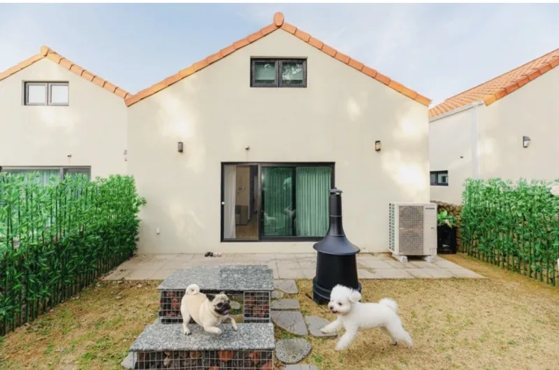 [Aewol, Jeju] Aewol Newly Built Detached House/Companion Dog/Front Yard 87