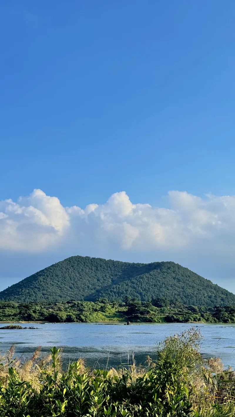 [Gujwa, Jeju] Meanwhile, a 4-person room facing Jimibong Peak and the migratory bird habitat. 11