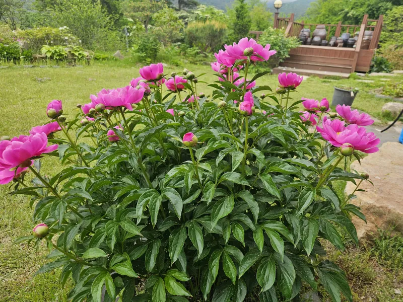 [경남 거창] 월성계곡 한가족 독채펜션 7