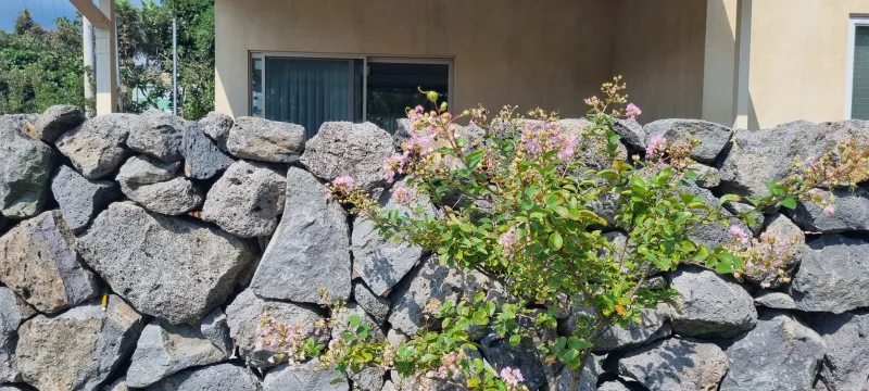 [Namwon, Seogwipo] Cozy Villa in a Tangerine Orchard by the Sea 65