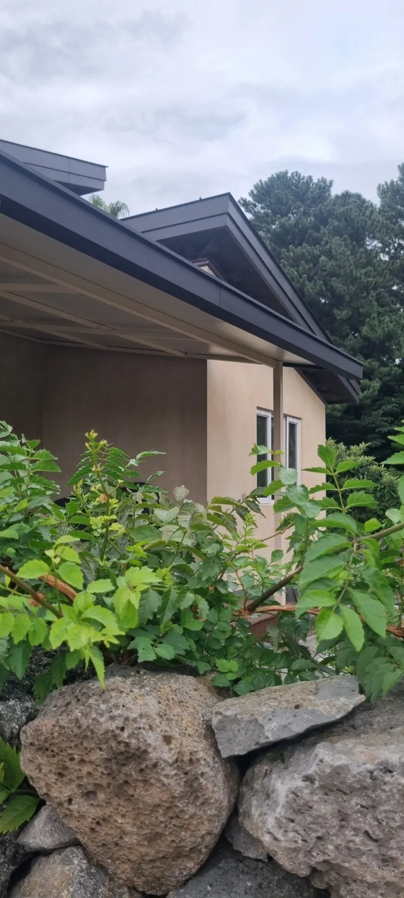 [Namwon, Seogwipo] Cozy Villa in a Tangerine Orchard by the Sea 59