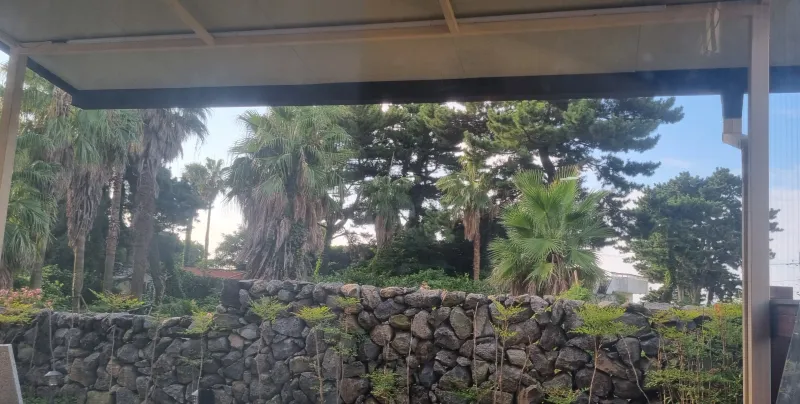 [Namwon, Seogwipo] Cozy Villa in a Tangerine Orchard by the Sea 58