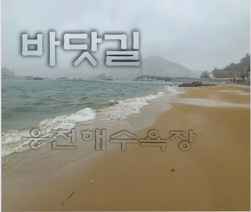 [전남 여수] 오션 탑 마리나(Ocean Top Marina) 5