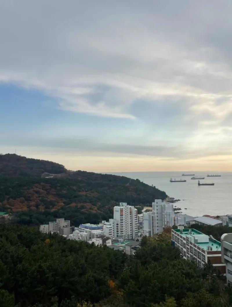 [Yeongdo, Busan] Fully furnished apartment with ocean view 13