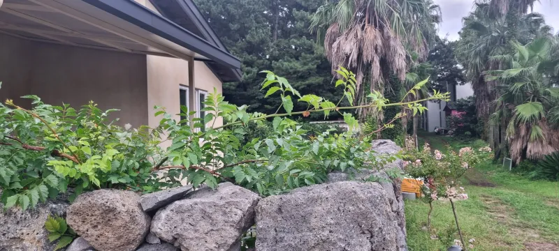 [Namwon, Seogwipo] Cozy Villa in a Tangerine Orchard by the Sea 60