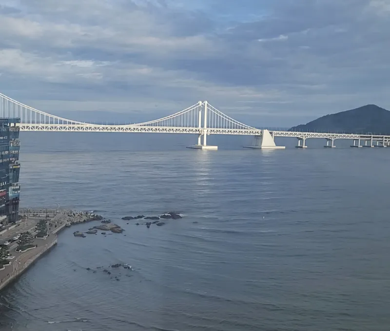 [부산 수영] 광안리/광안대교/바다뷰/민락동/17층 16