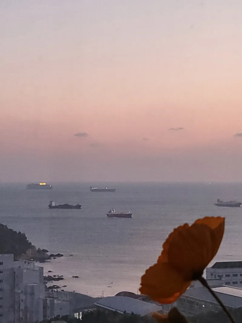 [Yeongdo, Busan] Fully furnished apartment with ocean view 7