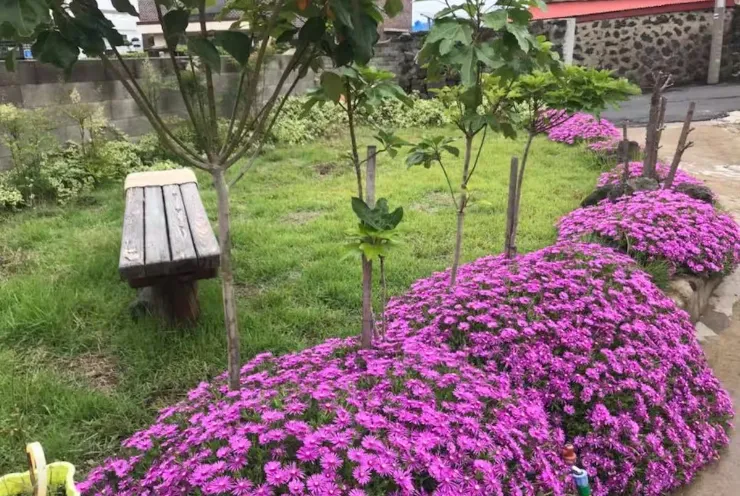[제주 조천] 북촌리 북촌포구 단독 1분 바닷가 26