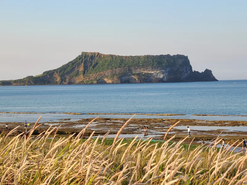 [Seongsan, Seogwipo][Seogwipo Private House] Farmhouse near the beach in Seongsan Seopjikoji Village 26