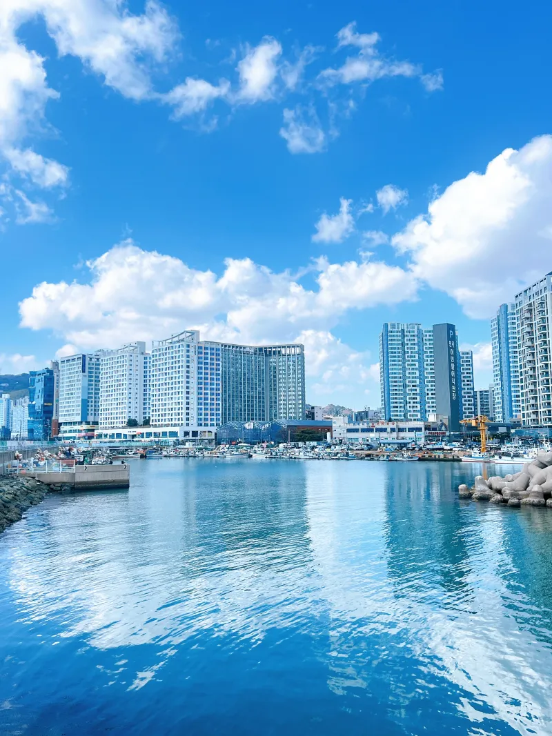 [Suyeong, Busan] #17thFloor #SunsetHotspot #UltimateNaturalLighting #FullyFurnished #AestheticAccommodation 45