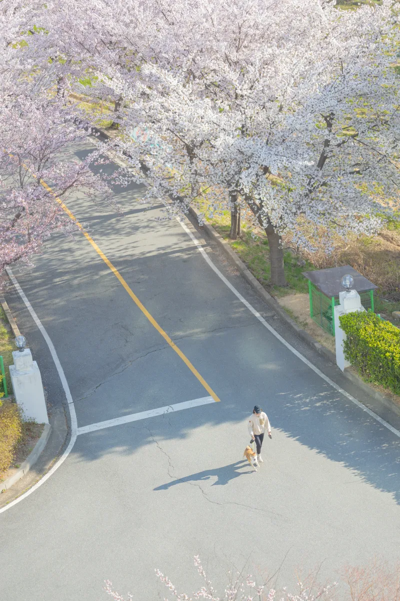 [강원 양양] 하조대 오션뷰 탁 트인 모던하고 청결한 감성숙소 한달살기 워케이션 21