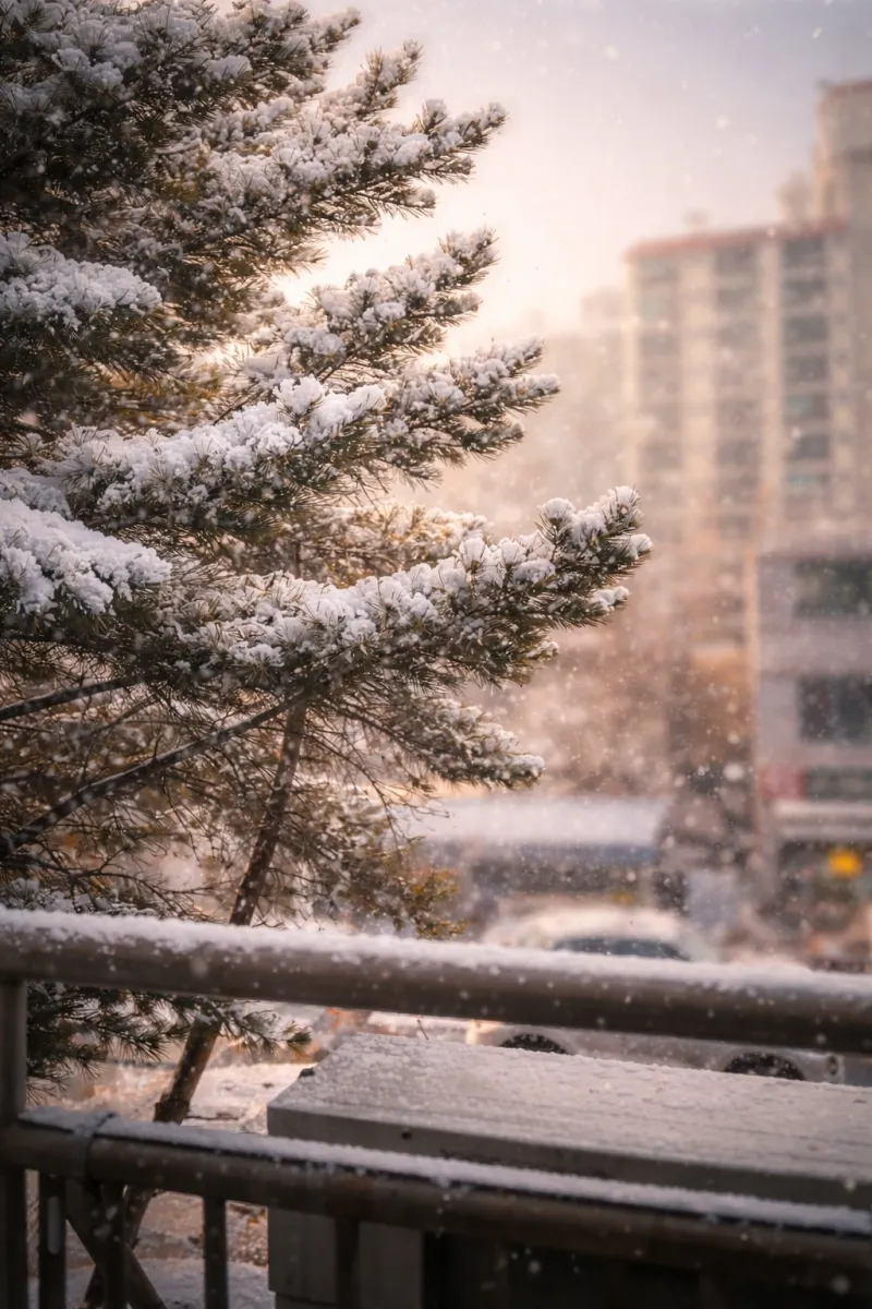 [Cheongju][Cheongju, Chungcheongbuk-do] 5 minutes from Chungbuk National University/Full options/5kg dryer 19