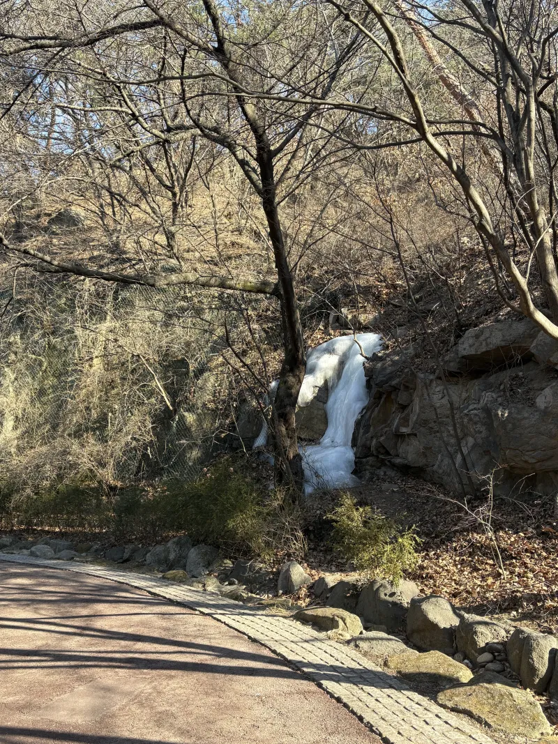 [Yongsan, Seoul] Namsan Jinju Stay 35