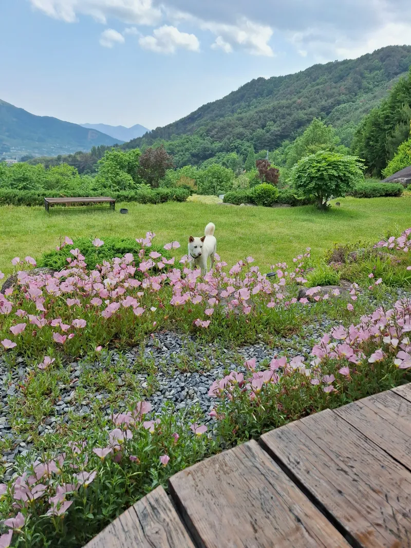 [Hadong][Hadong-gun, Gyeongnam] A place where you want to stay in an earthen house 10
