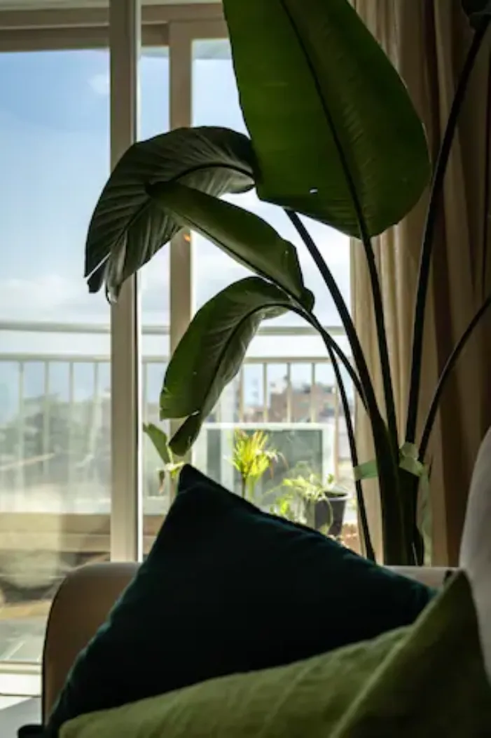 [Sokcho] Ocean View 2-Room Apartment, Your Taste 22