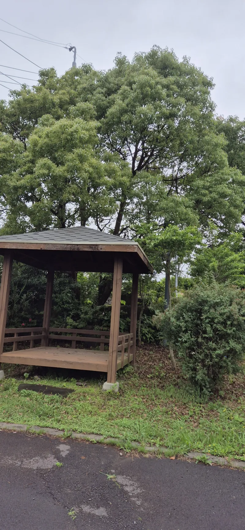 [Topyeong-dong, Seogwipo][2 weeks or more] Hotel-style Studio 2 ♤ Quiet Hallasan Mountain View, Forest Area ♤ Beautiful Garden View 65