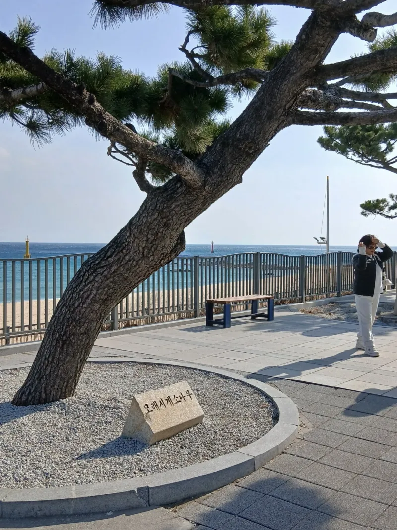[Gangneung] 5-minute walk from Songjeong Beach, Anmok Beach, clean new building 26