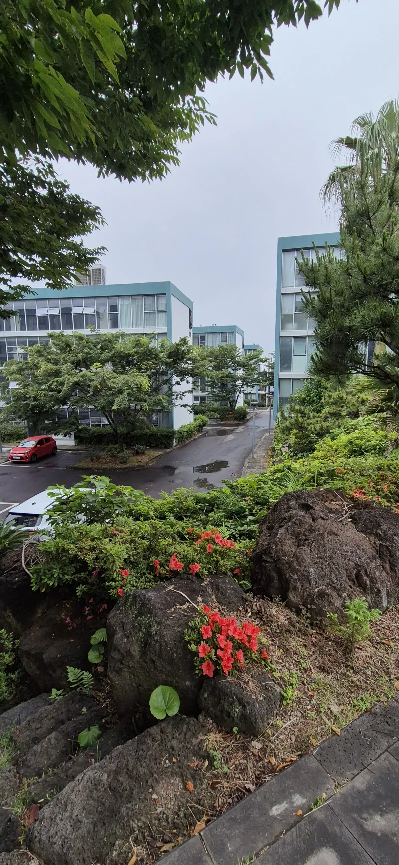 [Topyeong-dong, Seogwipo][2 weeks or more] Hotel-style Studio 2 ♤ Quiet Hallasan Mountain View, Forest Area ♤ Beautiful Garden View 63