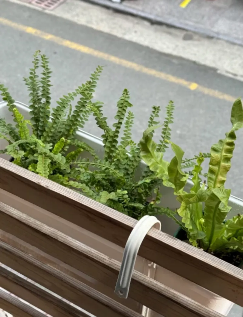 [Jung-gu, Busan] “Elegant Stay No. 1”: The perfect home for walking tours 17