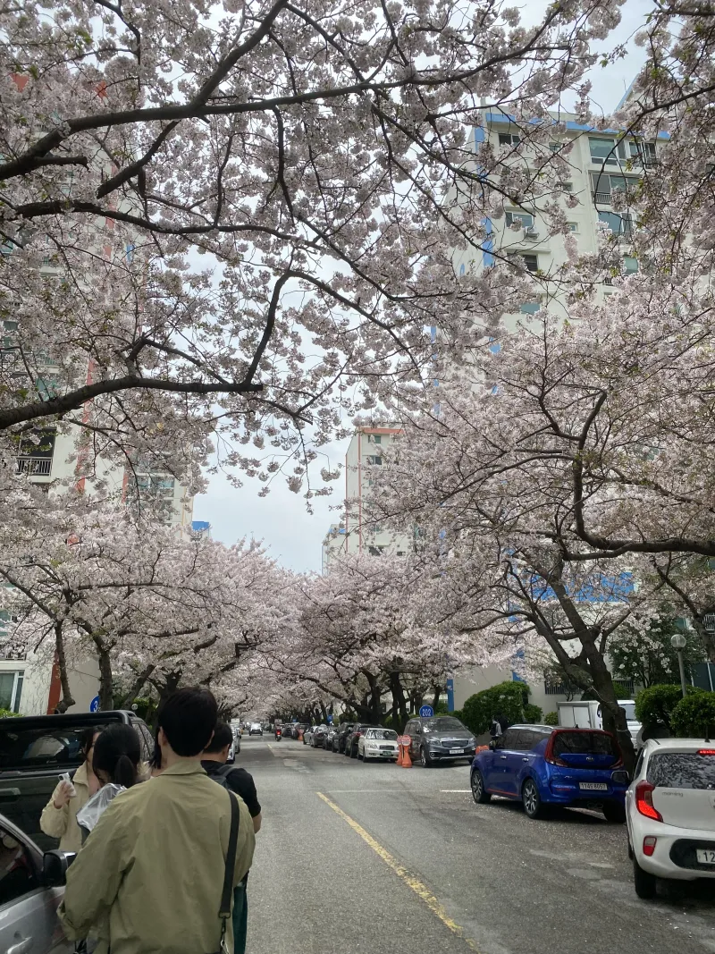[부산 수영] 광안리 최근접 광안대교뷰 투룸 아파트 30