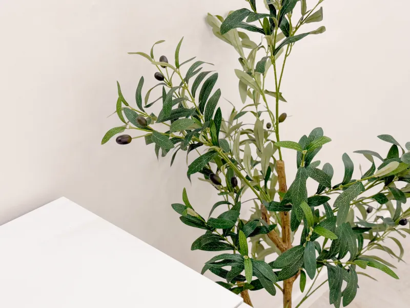 [Mapo, Seoul] 2R2B, 5-minute walk from Hapjeong Station 8